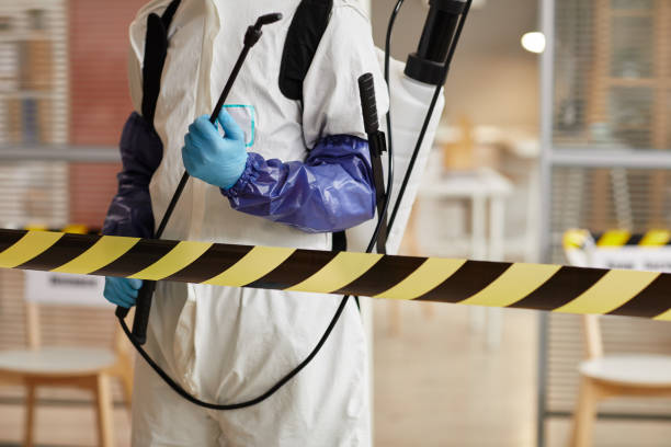 Professional Sewage Cleanup technician working in Alamo, CA